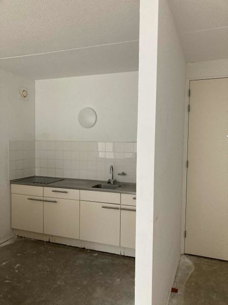 S.F. van Ossstraat 229