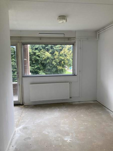 S.F. van Ossstraat 229