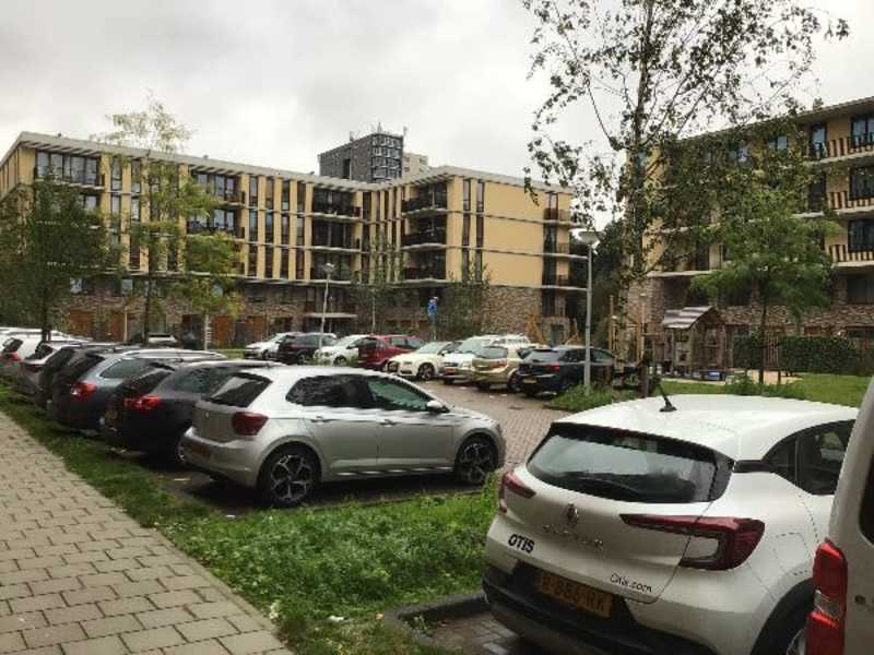 Zilverplevierstraat 37