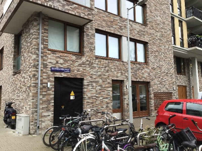 Zilverplevierstraat 37