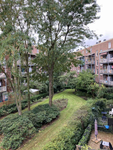 Borgerstraat 253, 1053 KJ Amsterdam, Nederland