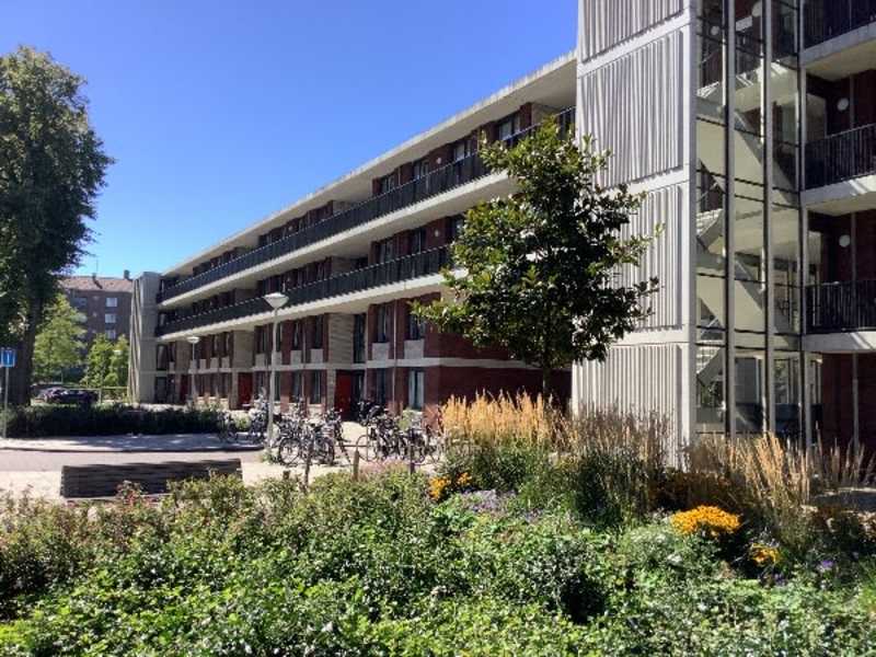 Dirk Sonoystraat 162