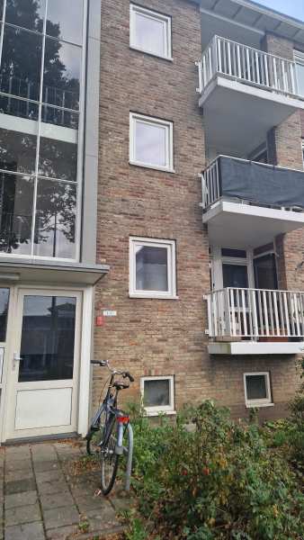 Reddingiusweg 3, 9744 BH Groningen, Nederland