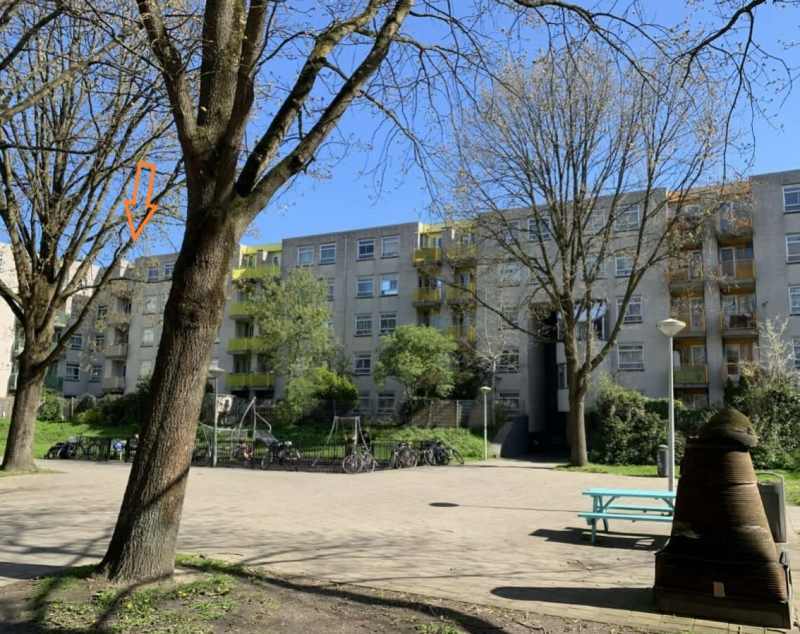 Anatole Francesingel 14