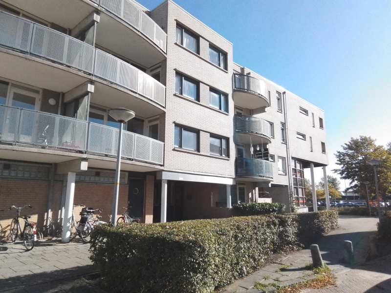 Wessel Ilckenstraat 223