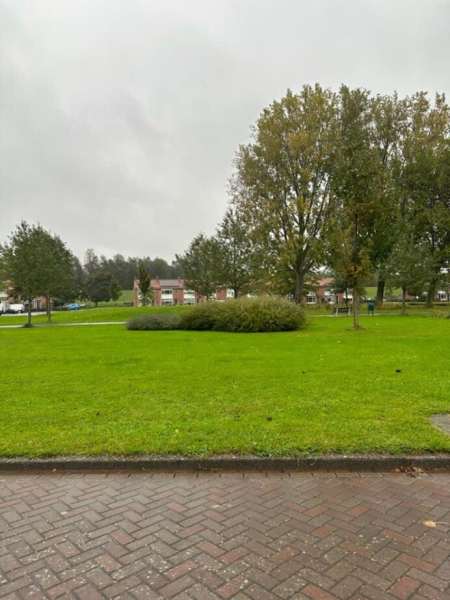 Adriaan van Alkmaarstraat 41