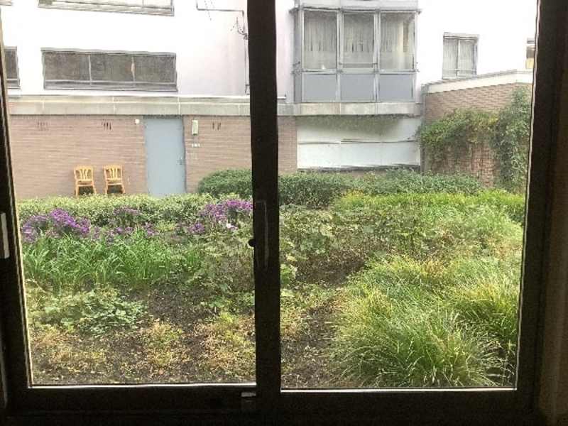 Bos en Lommerplantsoen 62