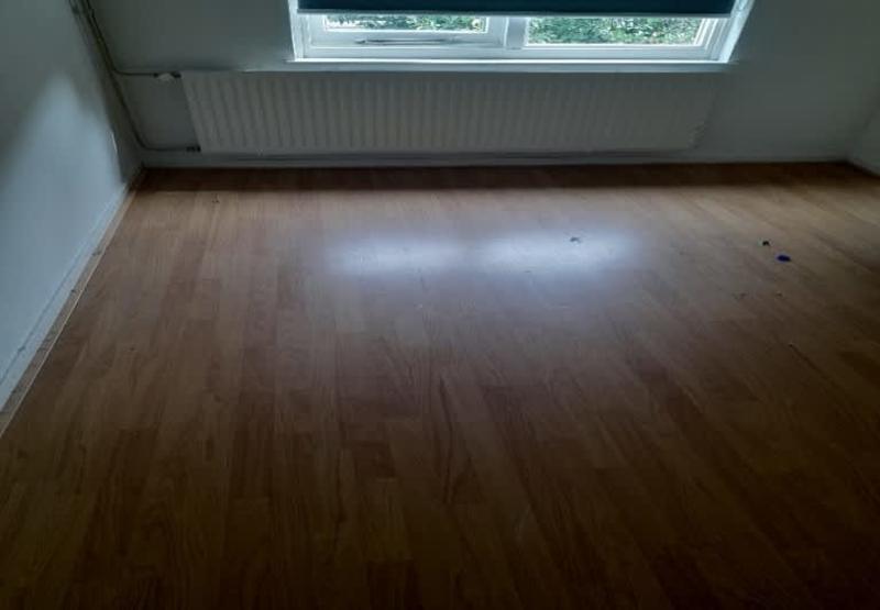 Johan de Wittstraat 165