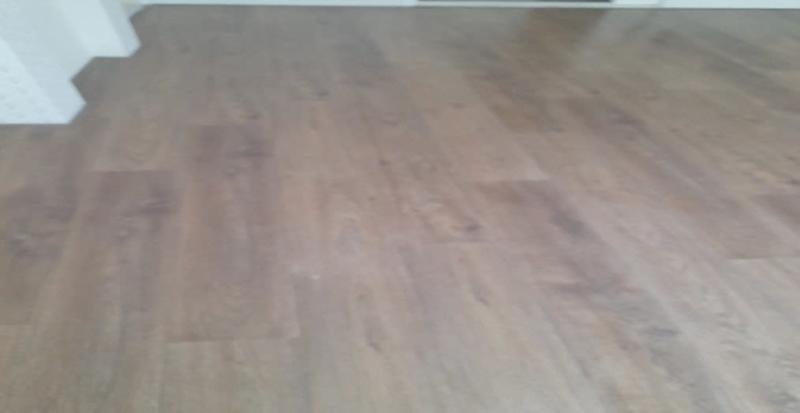 Johan de Wittstraat 165