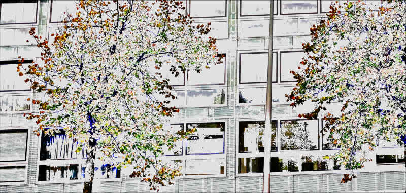 Cornelis Outshoornstraat 10B