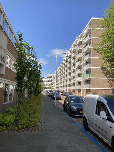 S.F. van Ossstraat 215