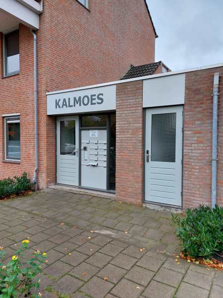 Kalmoes 26