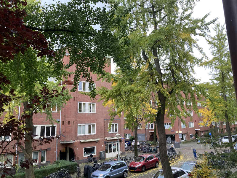 Vespuccistraat 44