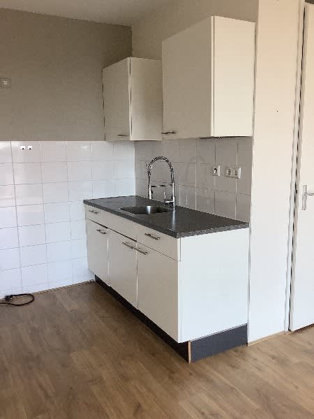 Herman Hellingplantsoen 119