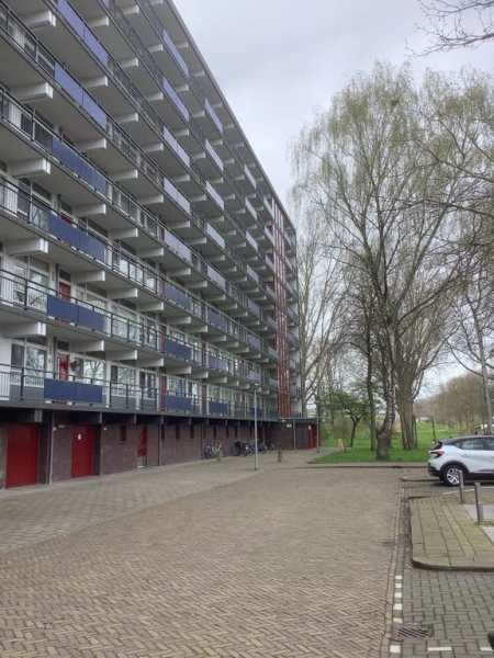 IJsvogelplein 227