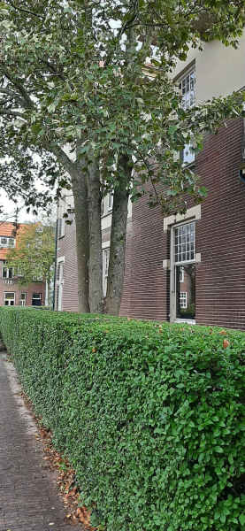 Zomerluststraat 25