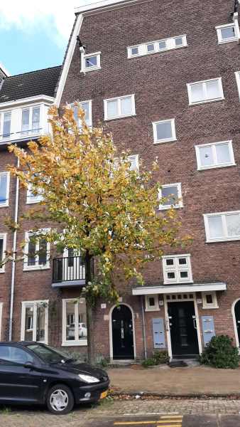 Sportstraat 35, 1076 ED Amsterdam, Nederland