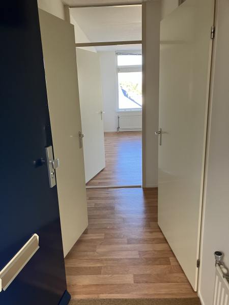 Pieter Calandplantsoen 24