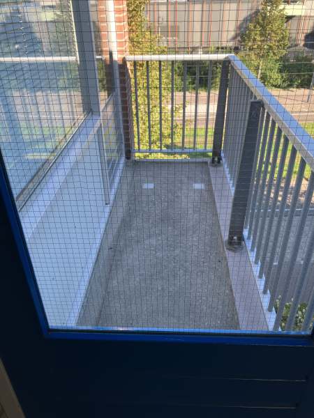 Pieter Calandplantsoen 24