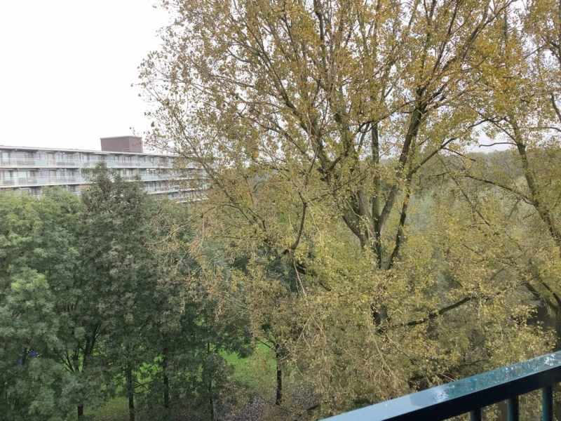 Nicolaas Beetsstraat 190