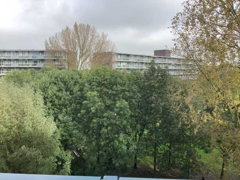 Nicolaas Beetsstraat 190