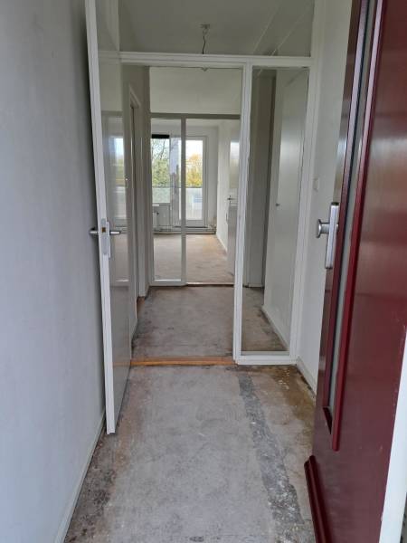 Graan voor Visch 13833