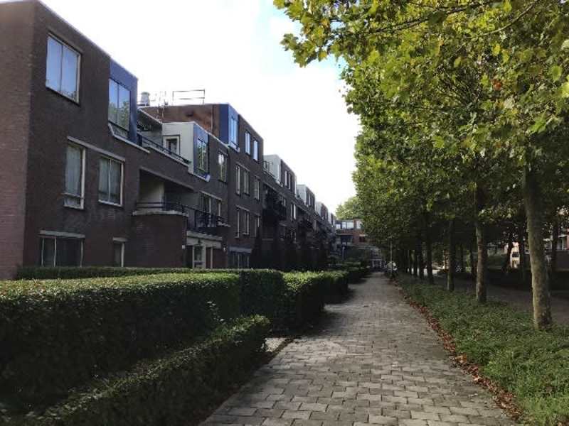 Vianenstraat 15