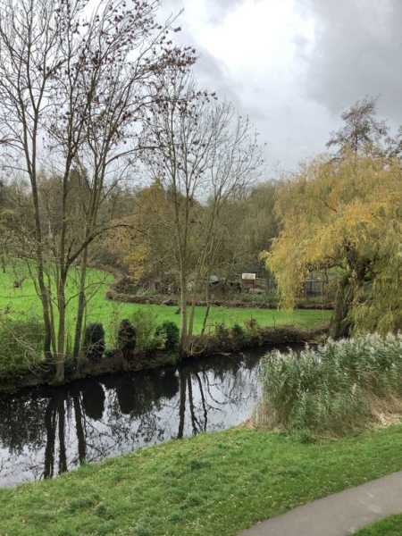 De Savornin Lohmanweg 66B