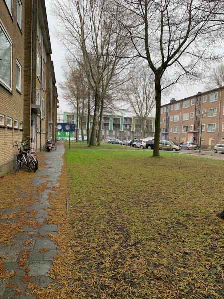 Harpoeniersstraat 33