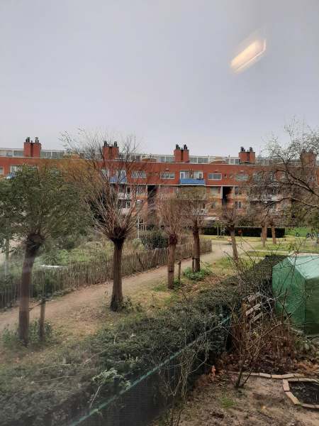 Kolfschotenstraat 102