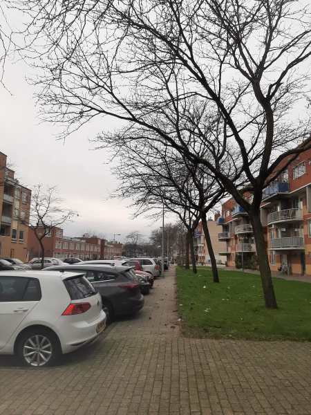 Kolfschotenstraat 102