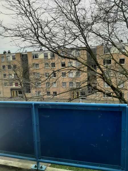 Kolfschotenstraat 102