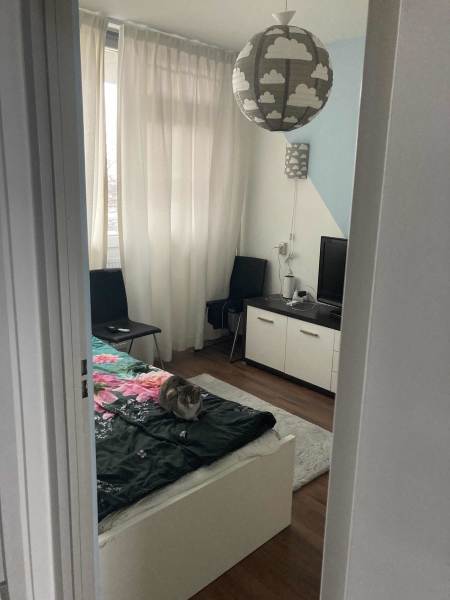 Koningsvarenstraat 326