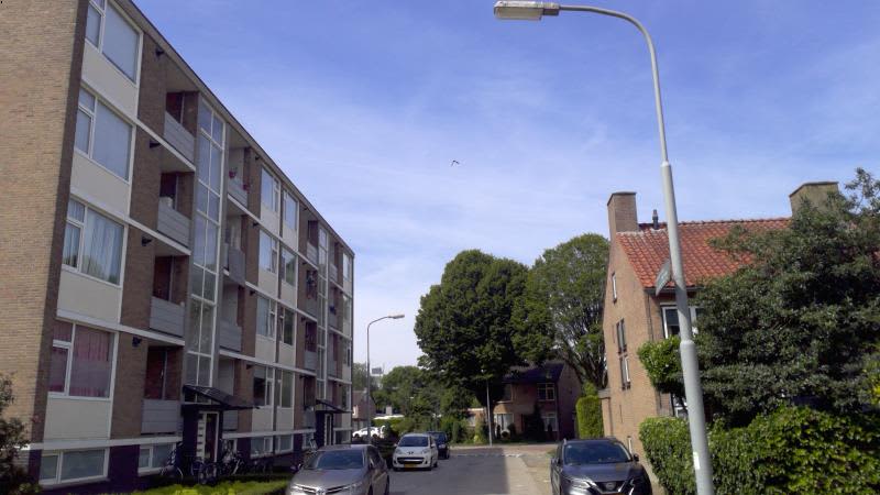 Burgemeester de Manstraat 33