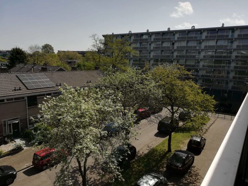 Cornelia de Langestraat 162