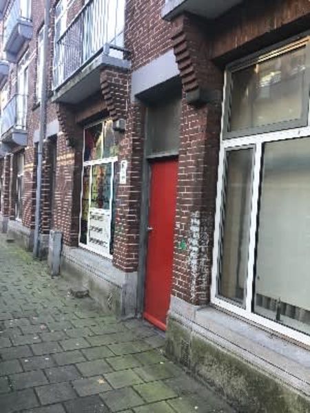 Majubastraat 73
