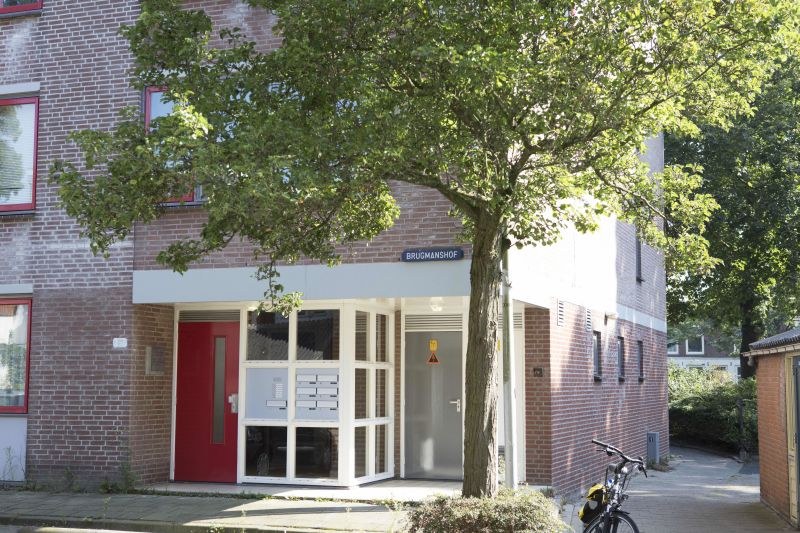 Brugmanshof 1