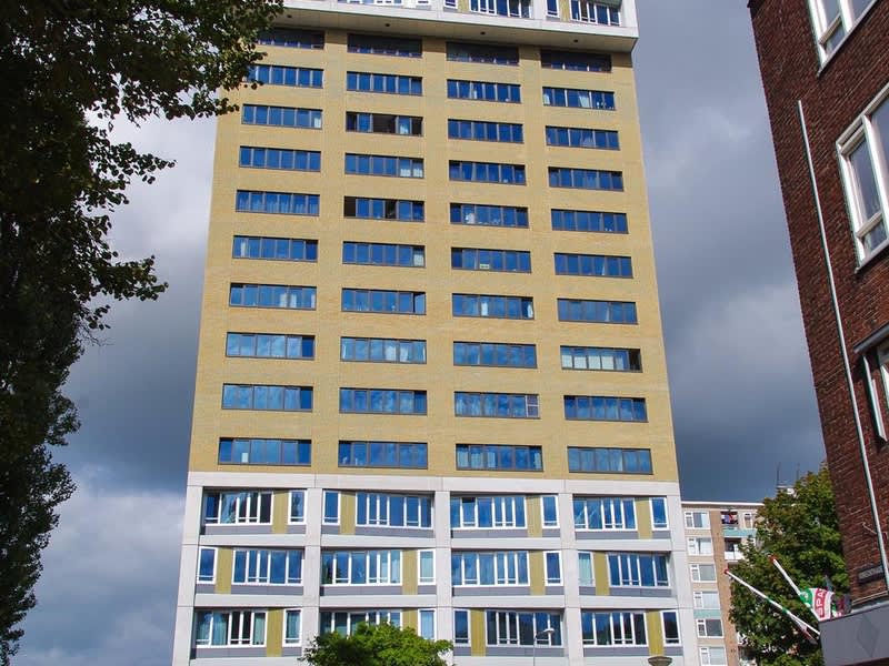 Wielewaalplein, 9713 BR Groningen, Nederland