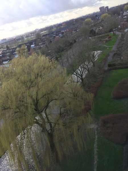 Van Slingelandtlanen 123