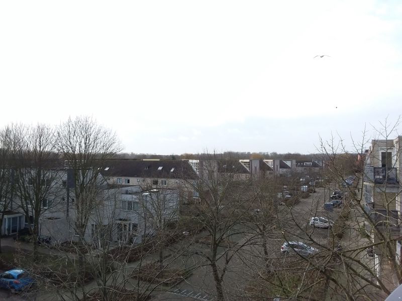 Wessel Ilckenstraat 43