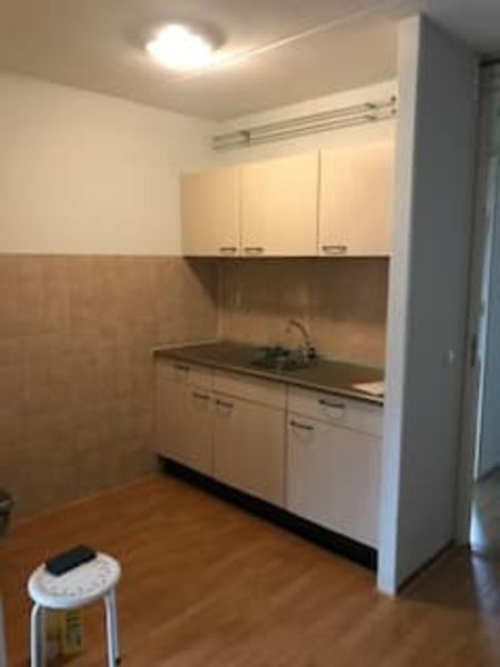 Cornelis Smitstraat 103