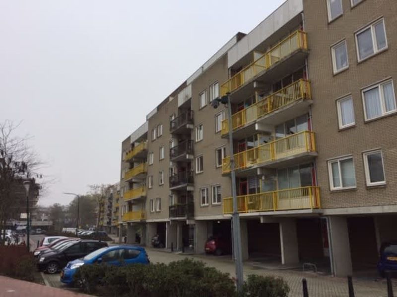 Bisonspoor 272, 3605 JP Maarssen, Nederland