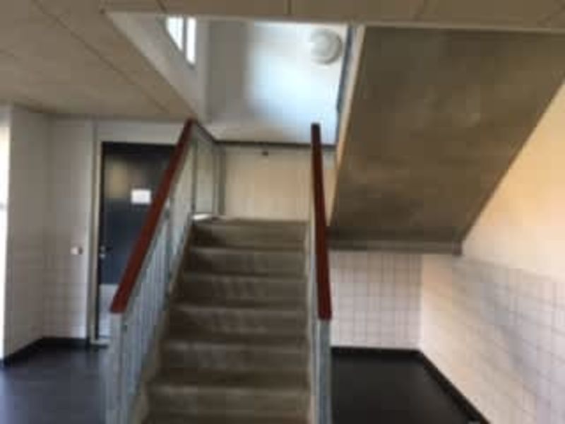 Pieter Lakplantsoen 42