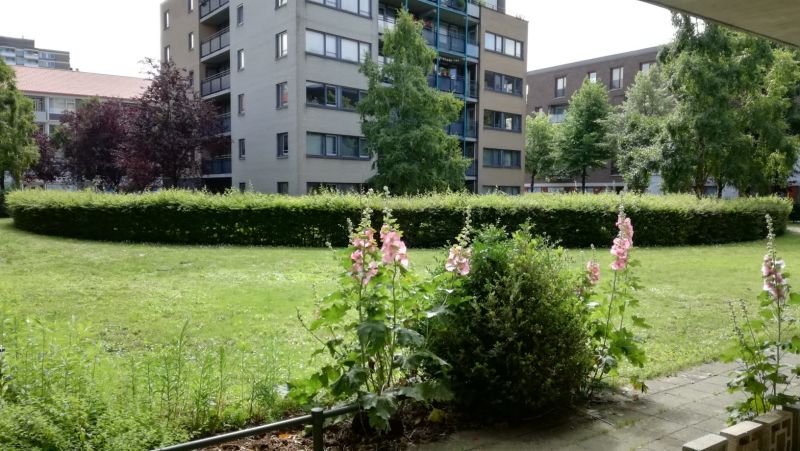 Jan Eisenloeffelstraat 22, 1062 DL Amsterdam, Nederland