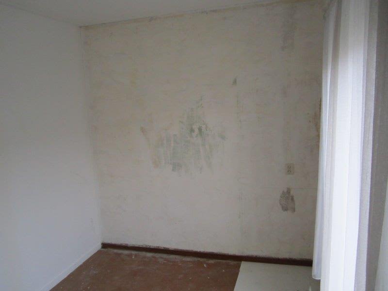 Koningin Wilhelminaweg 244