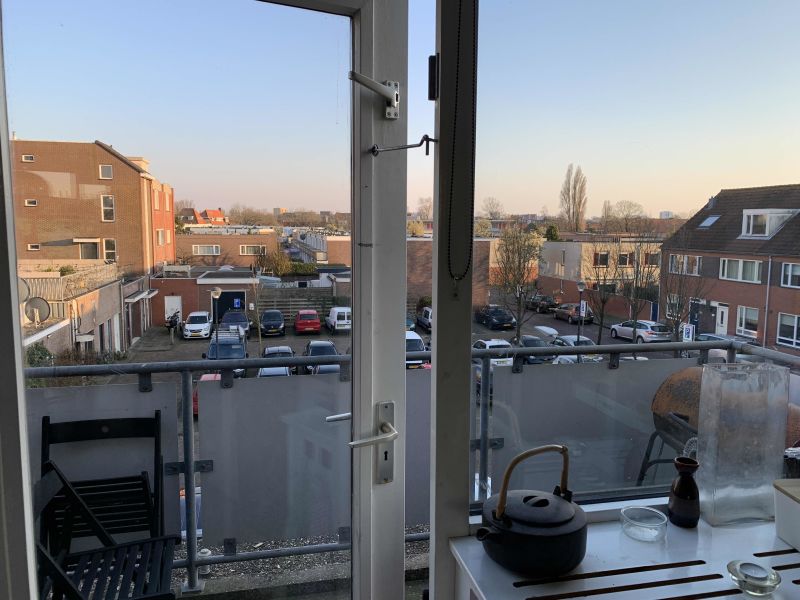 A.L. Dyserinckstraat 25