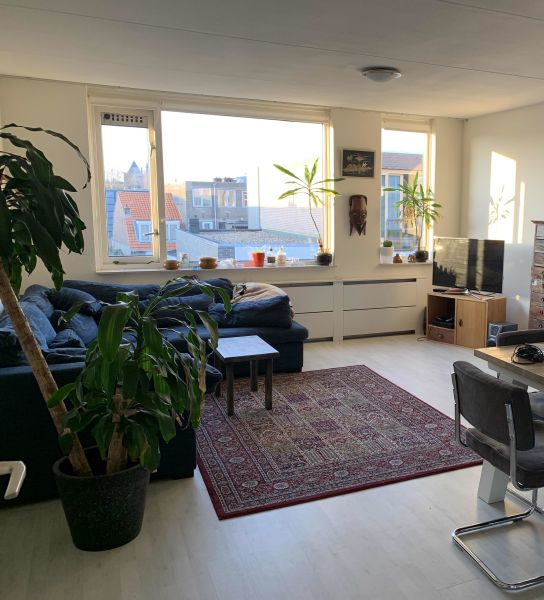 A.L. Dyserinckstraat 25