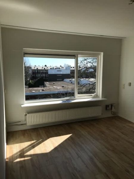 Peter Planciusplein 45