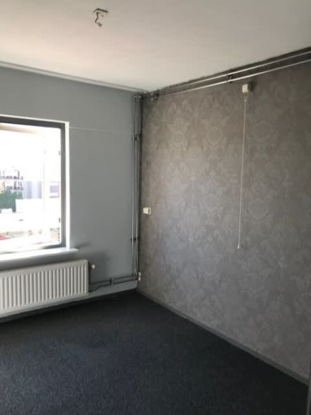 Peter Planciusplein 45