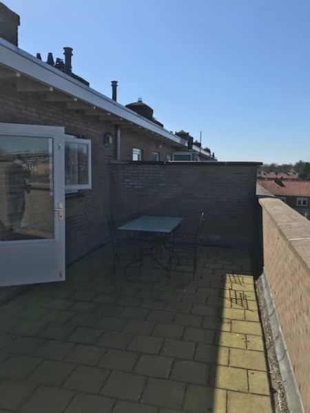 Peter Planciusplein 45